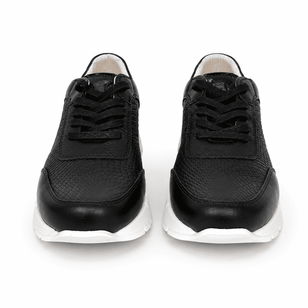 Tenis Noara